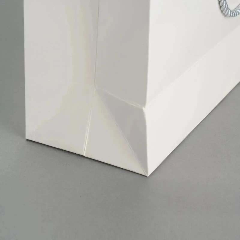 Custom Luxury Shopping Bags RACETOP