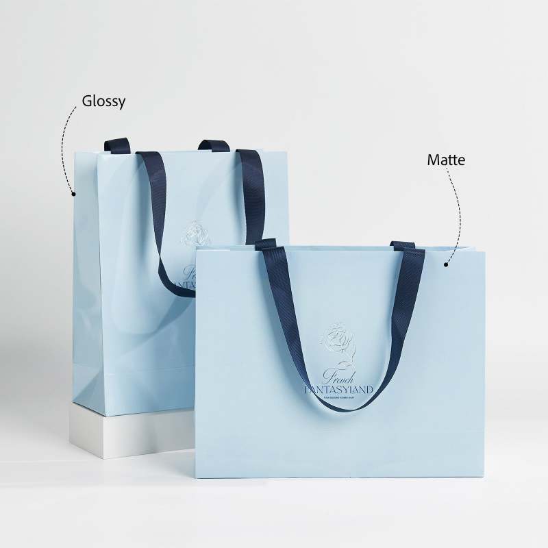 Custom Ribbon Handle Gift Bags